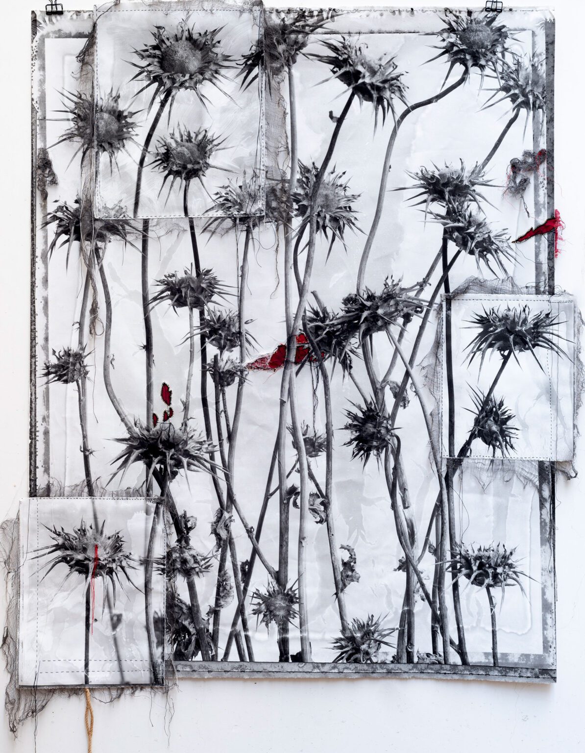 Burdocks125x106(320x160withTent)